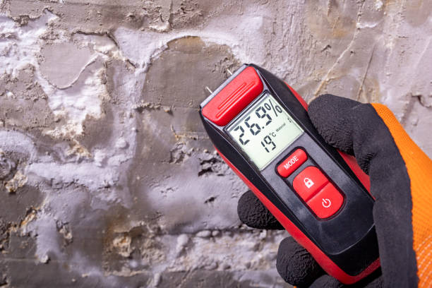 Best DIY Mold Remediation Support Services in Pennington Gap, VA